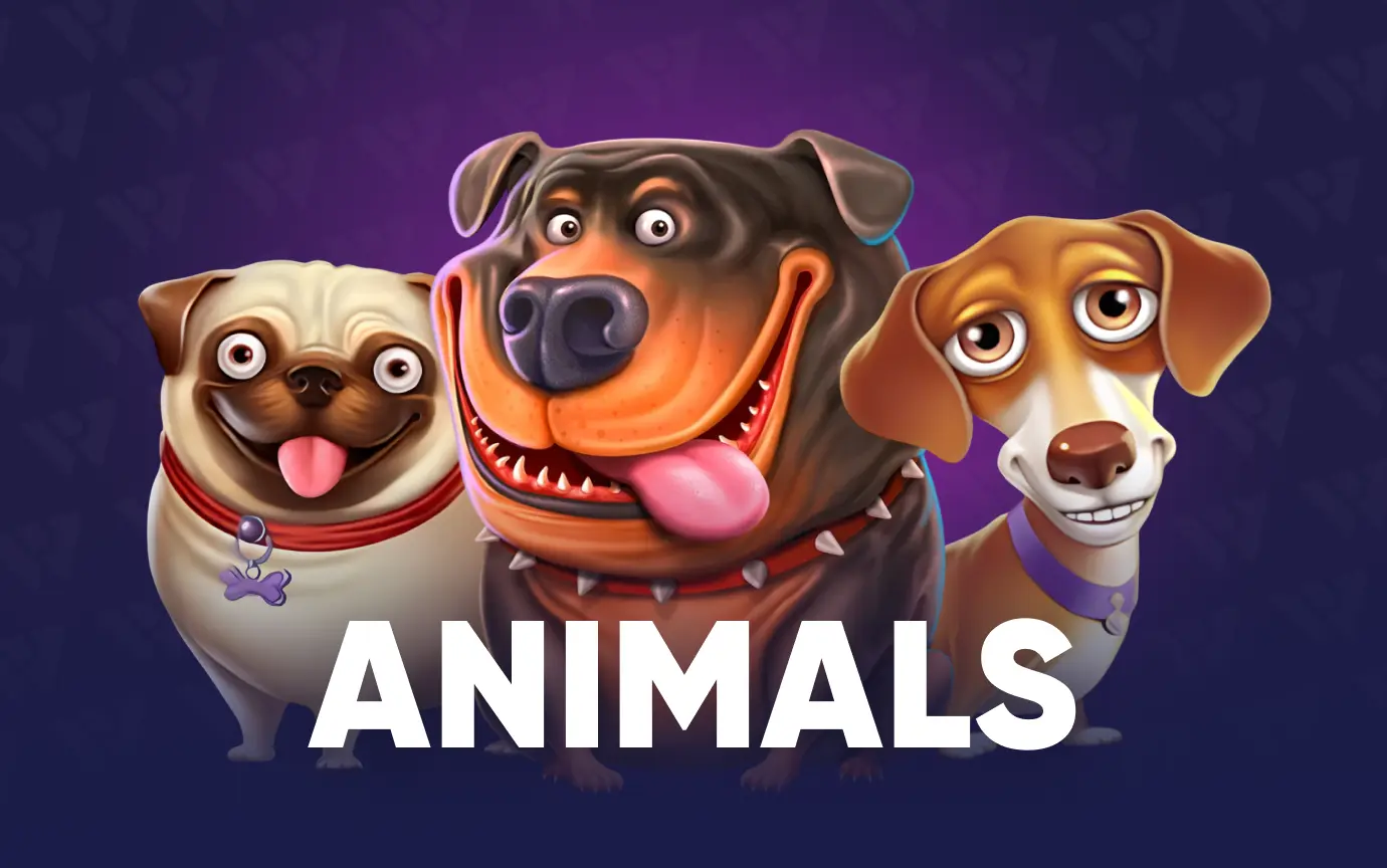 animals